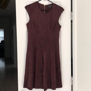 The Limited Pleated Velvet dress